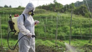 A Neighborhood Plan for Pest Control in Green Valley, How to Choose Reliable Help When You Search Locally