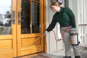 Year-Round Pest Solutions for Homeowners: Why Reliable Pest Control in Alexandria Matters More Than Ever