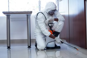 Effective Pest Control Strategies for Homes and Businesses
